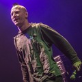Click to enlarge GutterPunk - Professional Concert Photography